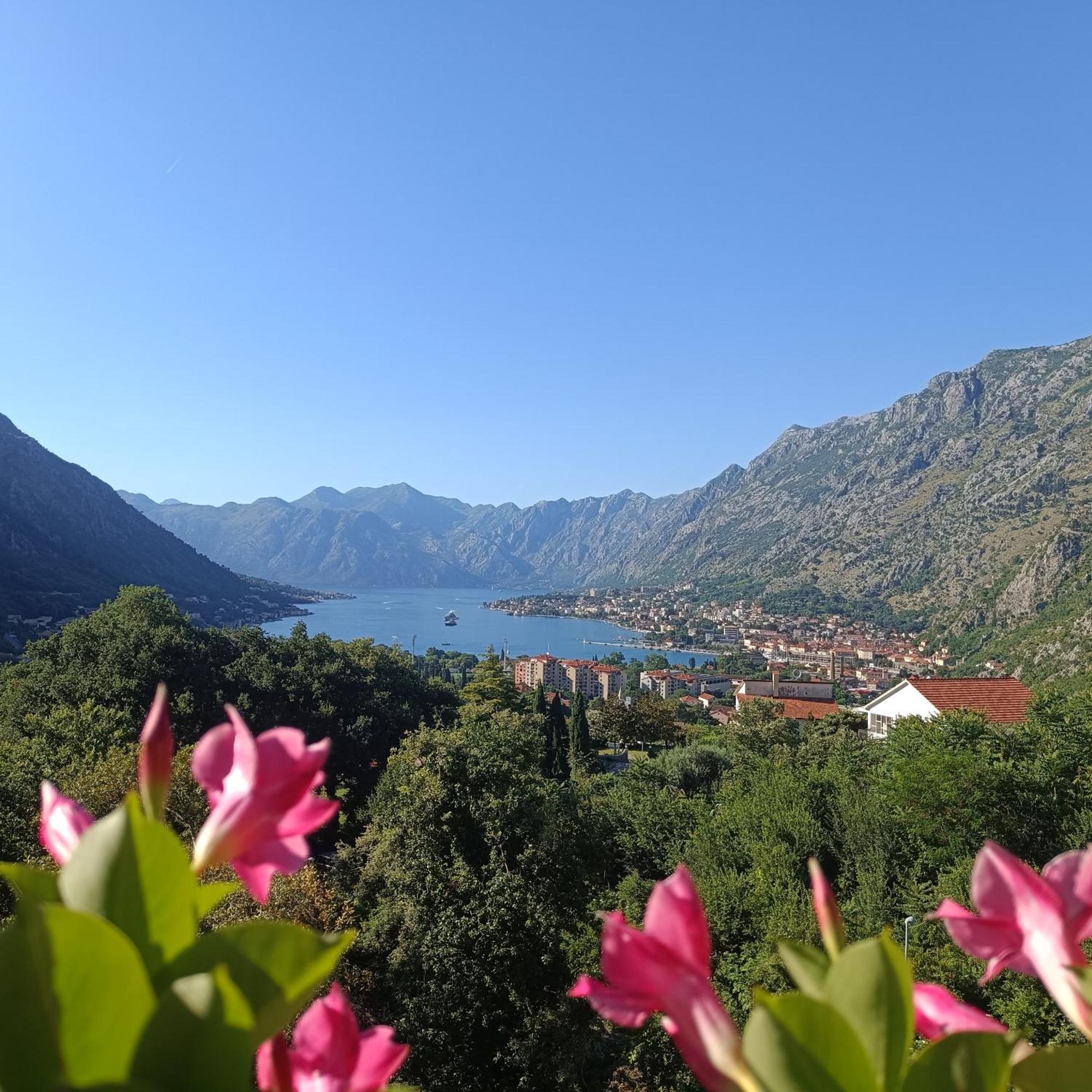 Radgost Kotor Apartments Extérieur photo